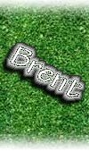 Brent's Page
